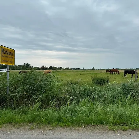 Und Knabbe